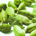 Cardamom